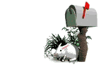 mail rabbit