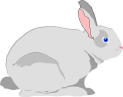 Lapin dessin genre aquarelle