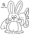 Lapin dessin