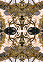 Ethnic 2