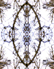 Ethnic 3