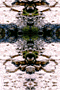 Ethnic 4