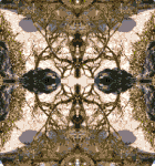Ethnic 2