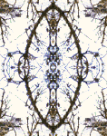 Ethnic 3