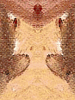 Multiple